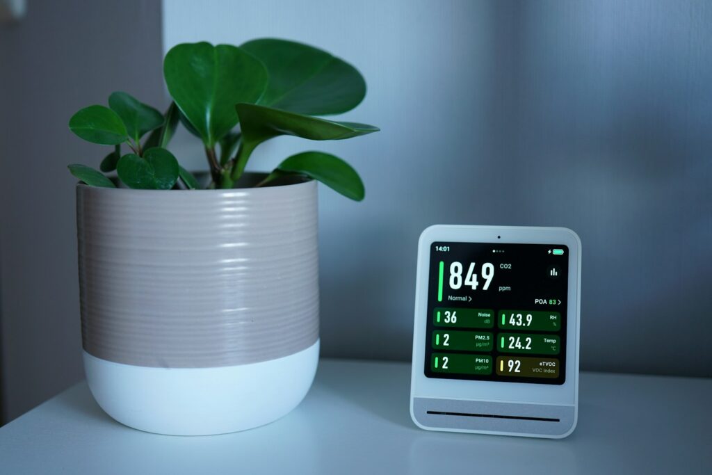 A plant and a monitor sit on a white table.